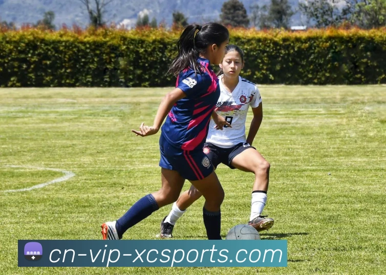 杏彩体育服务体系